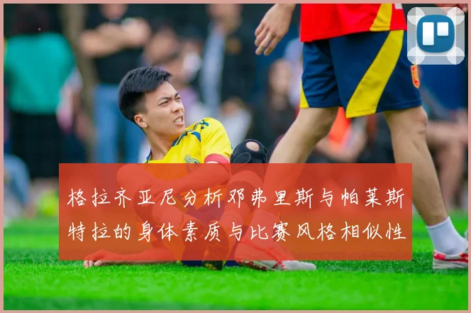 格拉齐亚尼分析邓弗里斯与帕莱斯特拉的身体素质与比赛风格相似性